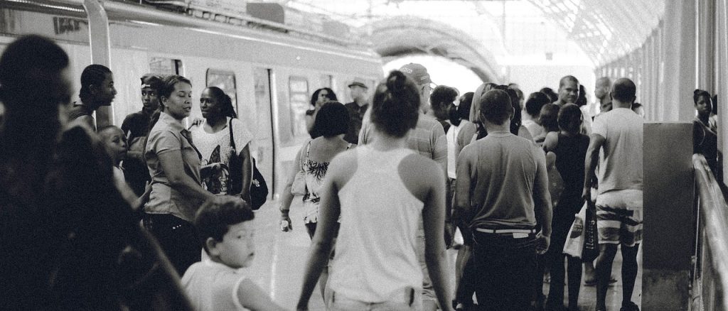 Campos Paradigmáticos